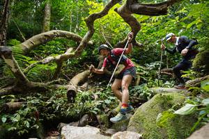 BIB: 
                            <button type="button" onclick="openModal(19408412)" class="btn btn-primary btn-sm float-right btn-popup" data-toggle="modal" data-target=".modal-high-quality">
                        <i class="fas fa-shopping-cart"></i> Add to Cart
                    </button>
                                            <button type="button" onclick="isThisMe(19408412, true)" class="btn btn-success btn-sm float-right btn-popup btn-isme hidden" data-toggle="tooltip" data-placement="bottom" title="นี่คือรูปของคุณใช่ไหม คลิกที่นี่เพื่อเอาเข้าอัลบั้ม">
                        <i class="fas fa-plus"></i> Add to album
                    </button>
                    <button type="button" onclick="isThisMe(19408412, false)" class="btn btn-warning btn-sm float-right btn-popup btn-isnotme hidden">
                        <i class="fas fa-ban"></i> Remove from album
                    </button>